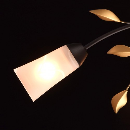 242015206 Люстра MW-Light Восторг