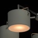 721010308 Люстра MW-Light Сайрус