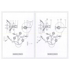 360022603 Амелия 3*20W G4 12V бра