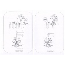 620020307 Бра CHIARO Примавера 620020307 Бра CHIARO Примавера