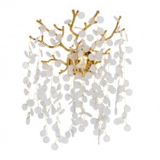 467022102 Бра De City Лайма 467022102 Бра De City Лайма