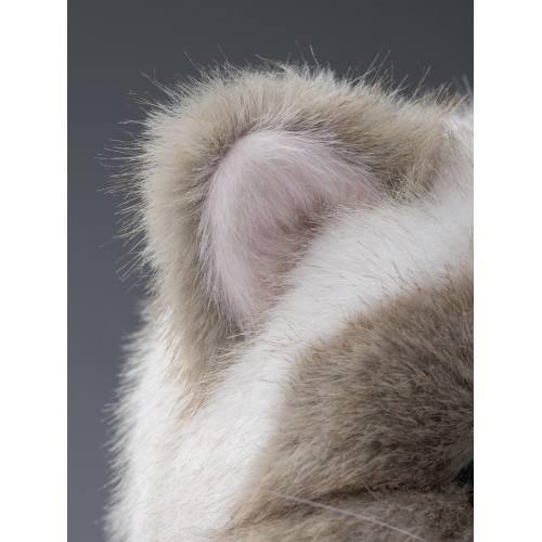 Авторская мягкая игрушка Lina Кошка Сиамская белая S (±20 см) Авторская мягкая игрушка Lina Кошка Сиамская белая S (±20 см)