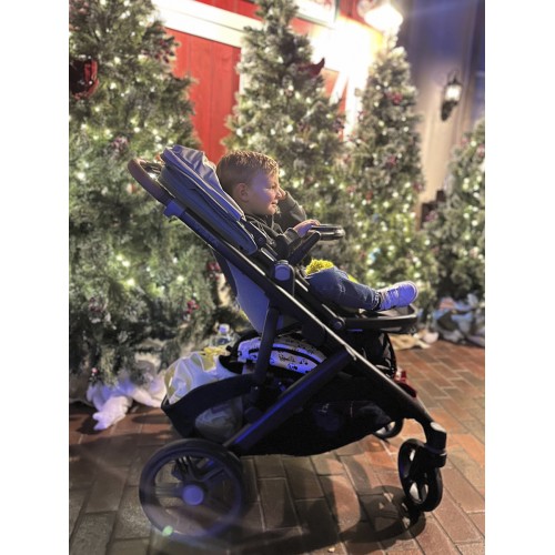 Коляска 2в1 UPPAbaby VISTA V3 KENZI Коляска 2в1 UPPAbaby VISTA V3 KENZI