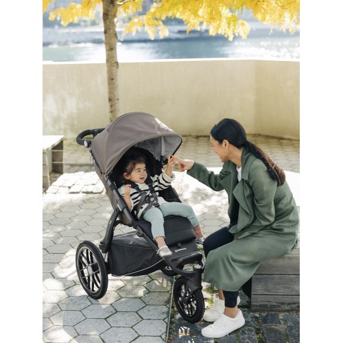 Коляска прогулочная UPPAbaby RIDGE Theo Коляска прогулочная UPPAbaby RIDGE Theo