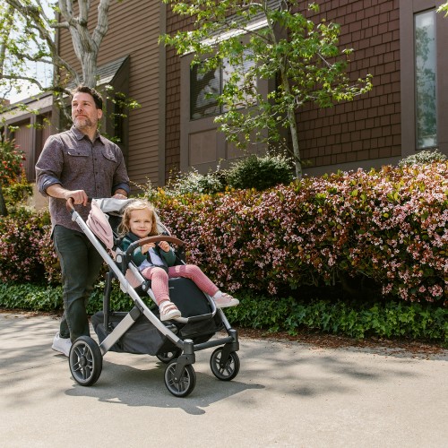 Коляска прогулочная UPPAbaby Cruz V2 ALICE нежно-розовый