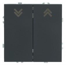 Выключатель 2-клавишный самовозвратный (механизм), STEKKER, 250В, 10А, серия Эмили, RSW10-5113-05, черный уголь, soft touch 50327