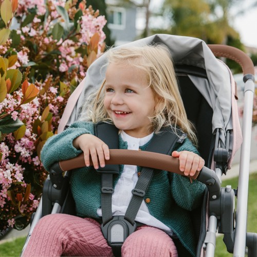 Коляска прогулочная UPPAbaby Cruz V2 ALICE нежно-розовый