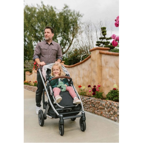 Коляска прогулочная UPPAbaby Cruz V2 ALICE нежно-розовый