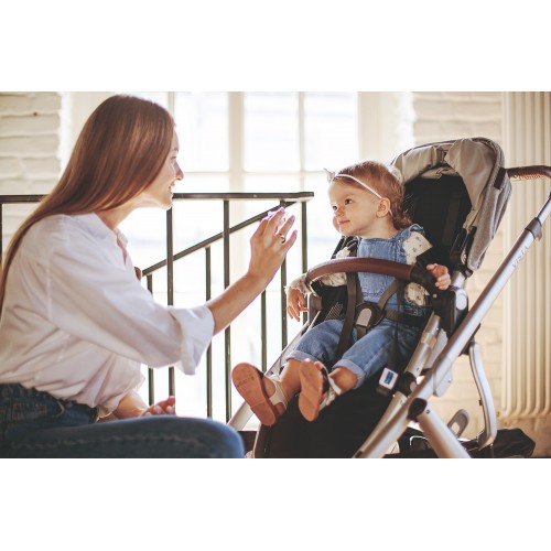 Коляска 2в1 UPPAbaby VISTA V2 STELLA Коляска 2в1 UPPAbaby VISTA V2 STELLA