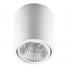 Светодиодный светильник Feron AL516 накладной 10W 4000K белый поворотный 29575