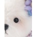 Lina Медведь Незабудка пудинговый цвет с костюмом XS (±15 см)