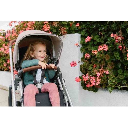 Коляска прогулочная UPPAbaby Cruz V2 ALICE нежно-розовый