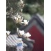 Lina Медведь Незабудка пудинговый цвет с костюмом S (±20 см)