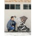 Коляска прогулочная UPPAbaby Cruz V2 THEO Коляска прогулочная UPPAbaby Cruz V2 THEO