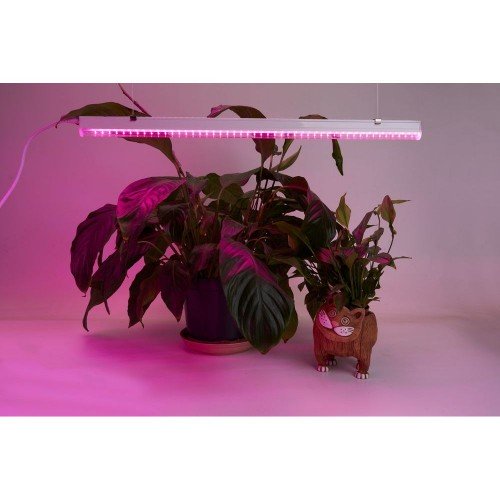 Светодиодный светильник для растений, спектр фотосинтез (красно-синий) 9W, пластик, AL7001